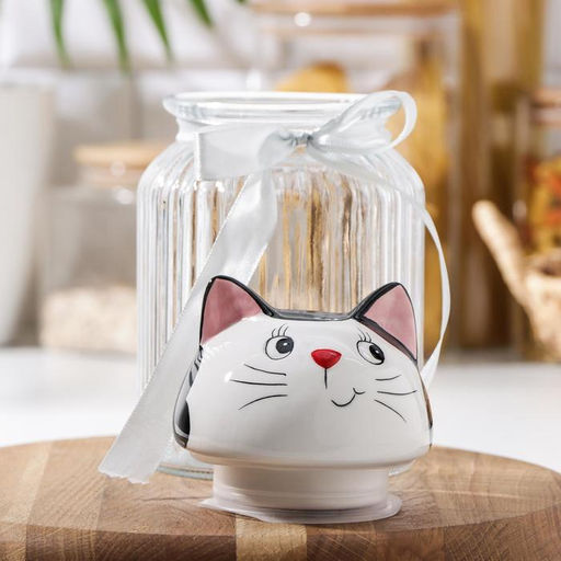 Банка стеклянная для сыпучих продуктов Доляна «Котик», 950 мл