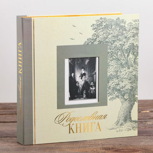 Родословная книга с рамкой под фото «Семейная», 21.5×23.7 см.