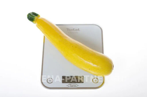 Кабачок Ясмин - Партнер фото 5