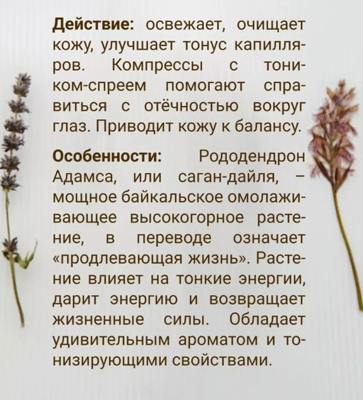 Тоник-спрей Саган-Дайля 100 мл. - Baikal cosmetics фото 2