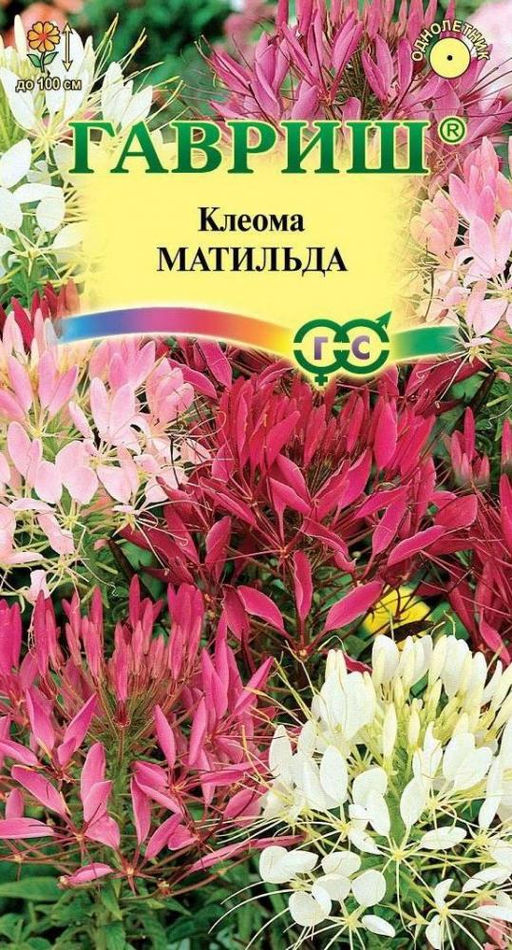 Клеома Матильда колючая 0,2гр (г)