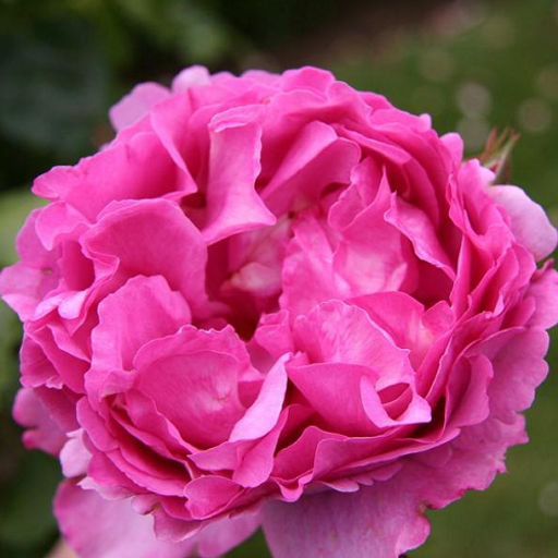 R189 ИВ ПЬЯЖЕ