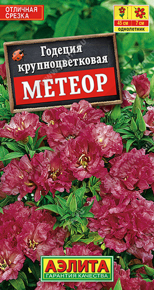 1413A Годеция Метеор крупноцветковая 0,05гр