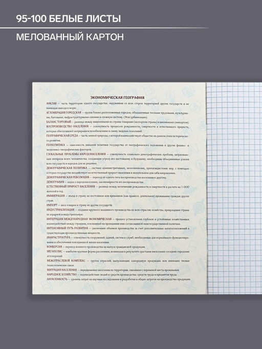 Цена за 5 шт. Предметная тетрадь по географии Calligrata TOP «Аниме», 48 листов, в клетку, со справочным материалом, обложка из мелованного картона