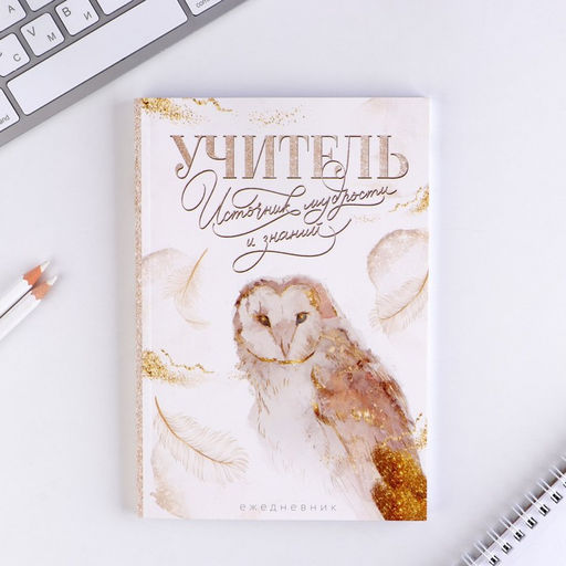 Подарочный набор, ежедневник А5, 80 л., стикеры, ручка «Золотой учитель»