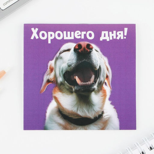 Цена за 20 шт. Блокнот 10х10, 16 листов МИКС Животные - Artfox фото 3