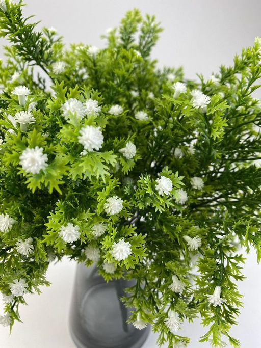 Гипсофила белая 35 см, декоративное растение