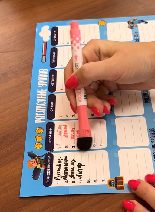 РАСПИСАНИЕ УРОКОВ ЛАМИНИРОВАННОЕ МАЙНКРАФТ 21х30 см (2726) - Мой органайзер фото 5