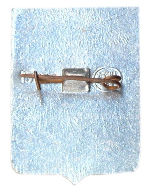 Значок Шацк