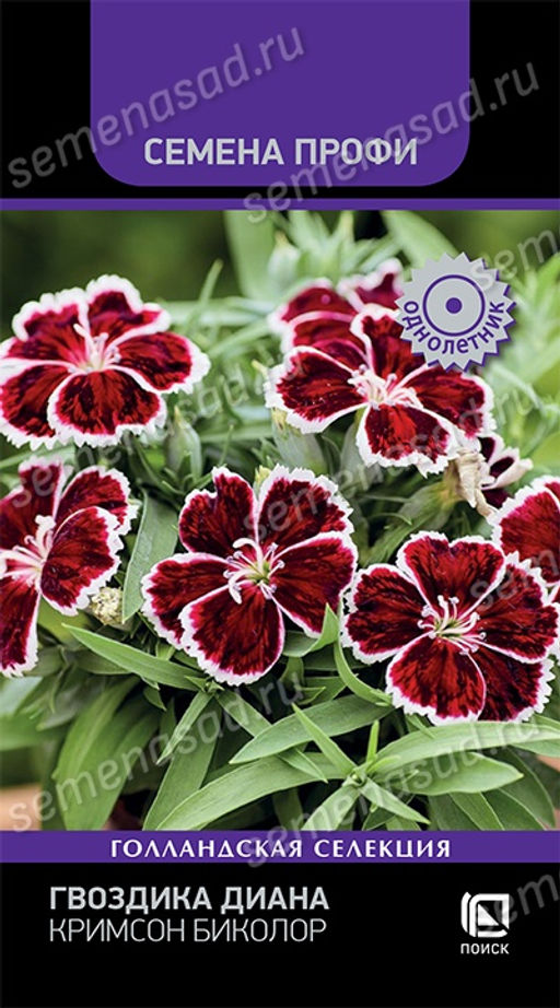 Гвоздика Диана Кримсон Биколор (Семена Профи) (ЦВ) ("1) 10шт