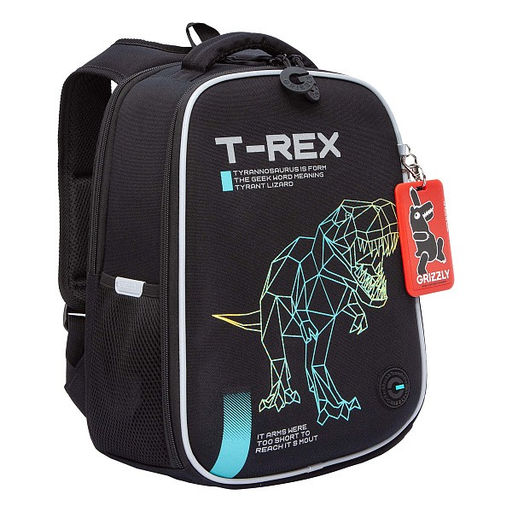 RAw-595-1 Рюкзак школьный