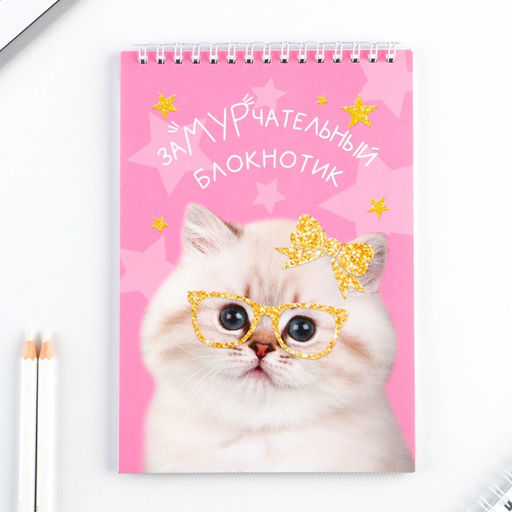 Блокнот А5, 40 л. Обложка картон. Котик