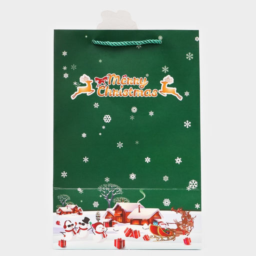 Цена за 2 шт. Пакет подарочный ламинированный с окном «Новый год» тиснение, 30×20×16 см, зеленый
