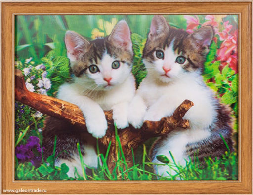 Картина 5D 30х40 039 Котята / KS1912-1 / - ГалеонТрейд фото 2