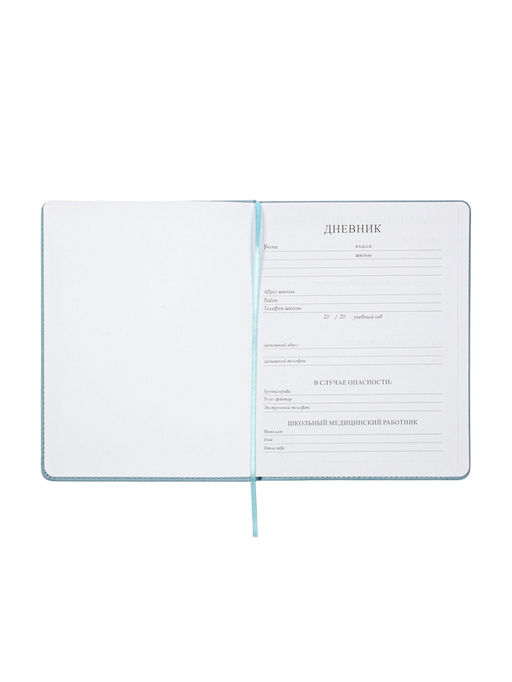 Дневник школьный «Ёжик» 1-11 класс, лассе, обложка искуственная кожа