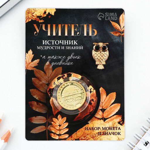 Набор монета и значок Учитель, 7.5 х 10 см - Семейные традиции фото 2