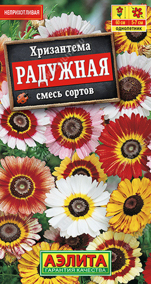 1856A Хризантема Радужная, смесь сортов 0,1гр