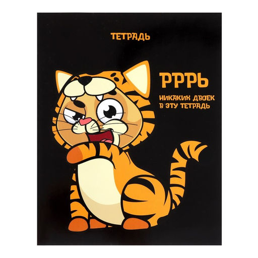 Комплект тетрадей из 5 шт, 48 листов, клетка, Кигуруми, обложка мелованный картон, блок офсет - Calligrata фото 3