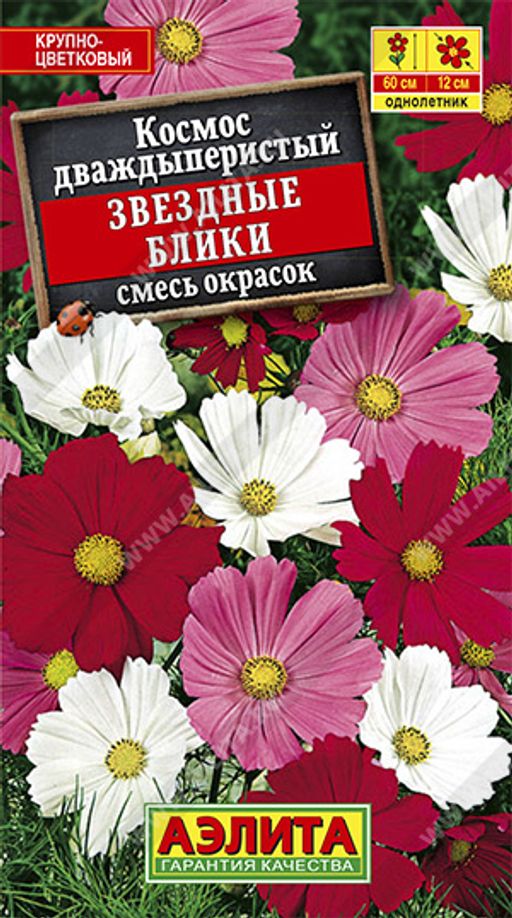 Космея Звездные блики, смесь сортов