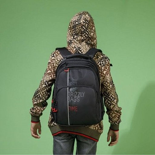 RU-030-31 Рюкзак - Grizzly фото 16