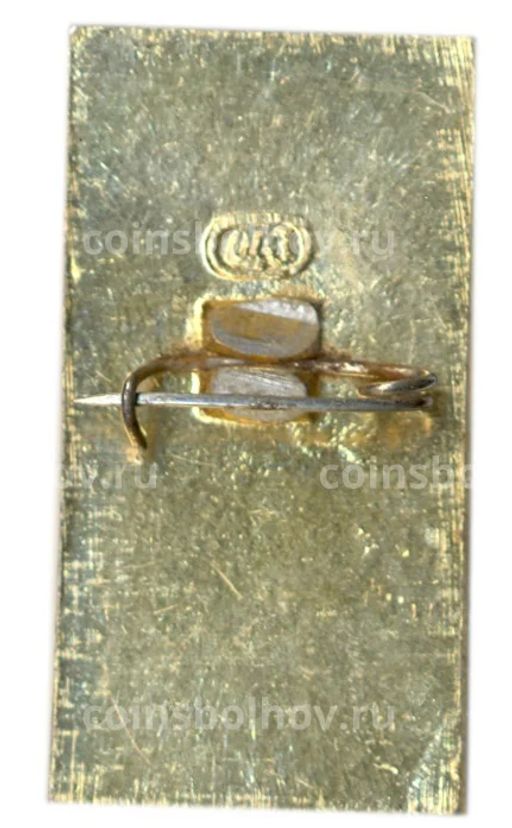 Значок Звенигород