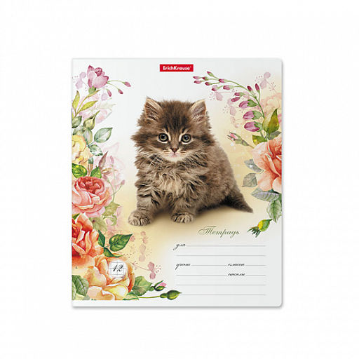 Цена за 280 шт. Тетрадь школьная ученическая ErichKrause Мурзики, 12 листов, клетка (в плёнке по 10 шт.)  фото 4