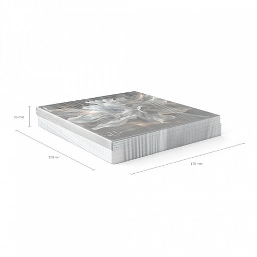 Цена за 5 шт. Тетрадь общая ученическая ErichKrause Fluid, 48 листов, клетка, ламинация soft-touch+выборочный УФ-лак_MIX-PACK  фото 11