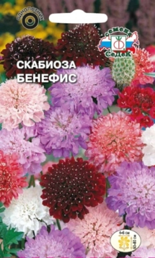 Скабиоза Бенефис махровая смесь, 0,3г (СеДек)
