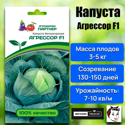 Капуста белокочанная среднепоздняя Агрессор - Партнер фото 8