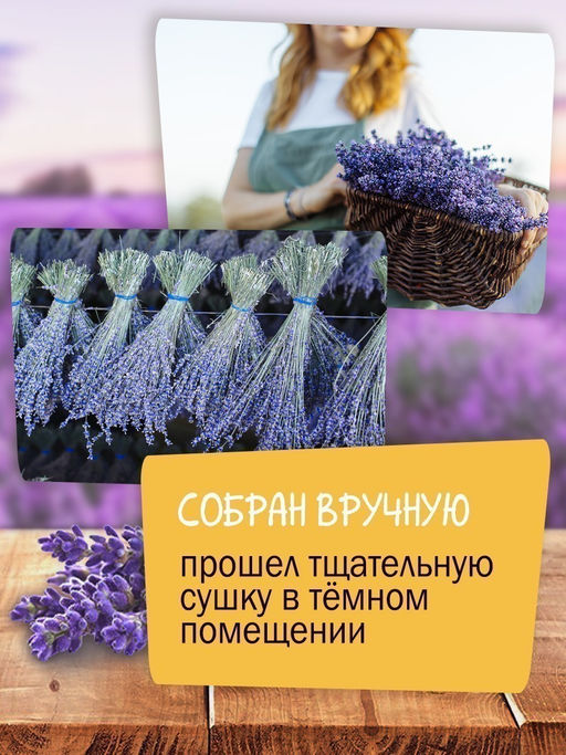 Букет лаванды крымской Синева - Травы горного крыма фото 10