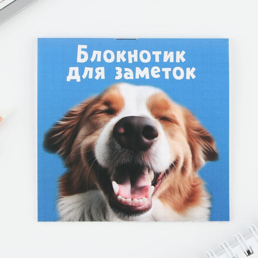Цена за 20 шт. Блокнот 10х10, 16 листов МИКС Животные - Artfox фото 11