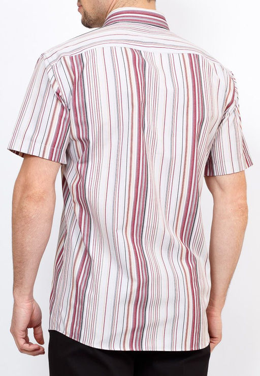 Сорочка мужская короткий рукав GREG Gb361/309/61/Z/1  фото 5