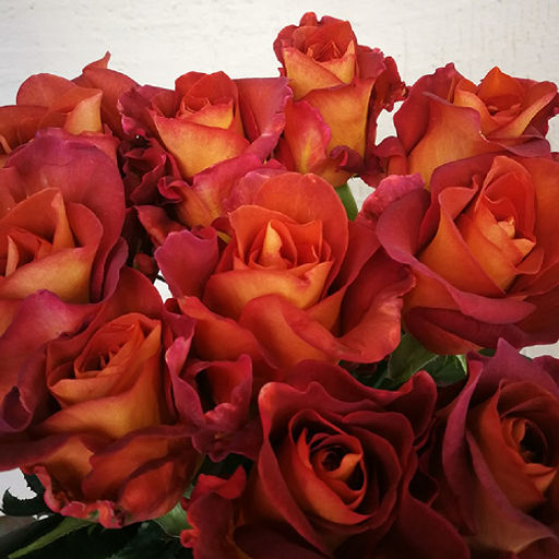 R248 КОФЕ БРЕЙК