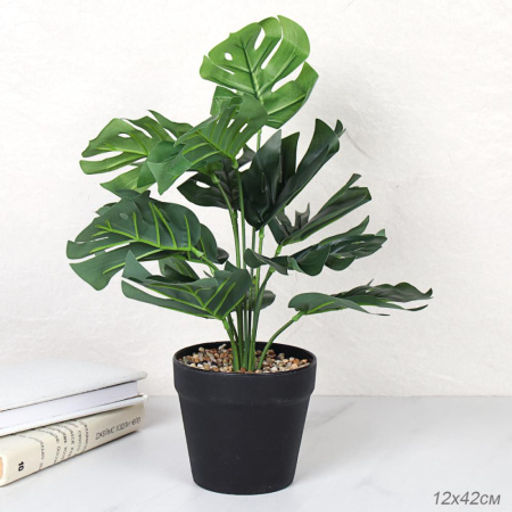 Цветочная композиция Монстера 42 см / ZH-008 /уп 48/ - Галеонтрейд фото 5