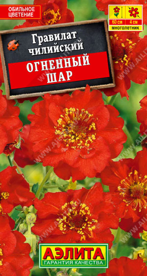 Гравилат Огненный шар (2028)