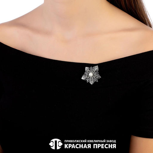 БРОШЬ 13613686