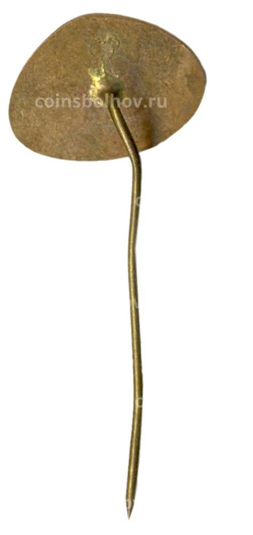 Значок EXPORT DRVO  30 лет