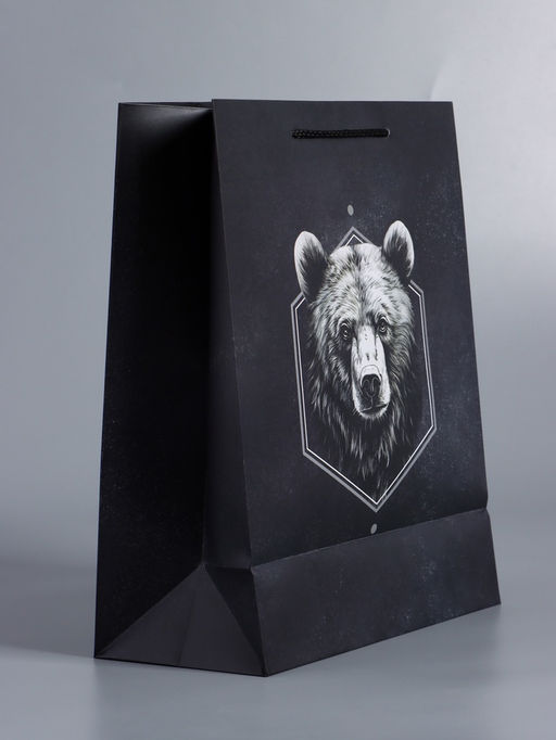 Пакет подарочный ламинированный «Мужской выбор», чёрный, 26×12×32 см
