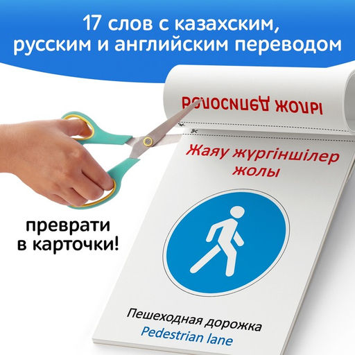Книга по методике Г. Домана Дорожные знаки, на казахском языке - Буква-Ленд фото 4
