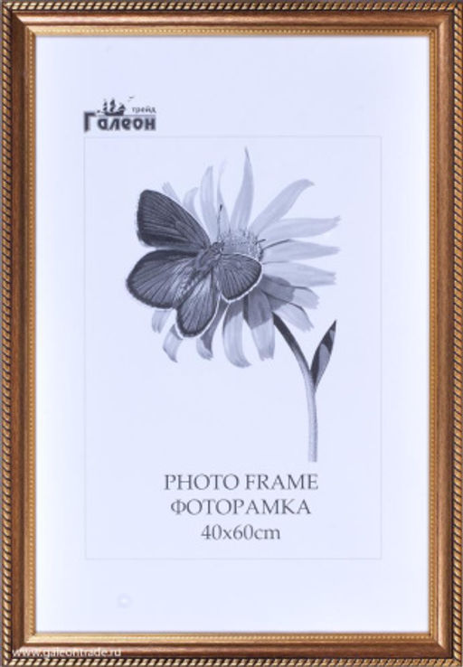 Цена за 1 шт. Фоторамка 40х60 / 10064-3 / - Галеонтрейд фото 3