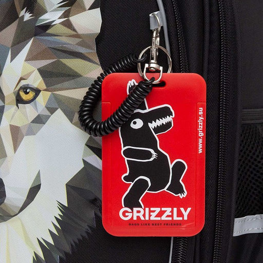 RAz-087-3 new Рюкзак школьный с картхолдером на держателе - Grizzly фото 31