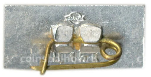 Значок Саласпилс