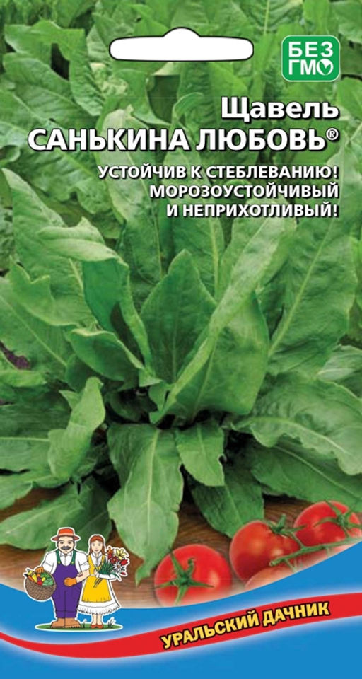 Щавель САНЬКИНА ЛЮБОВЬ® Устойчив к стеблеванию! Морозоустойчивый и неприхотливый!