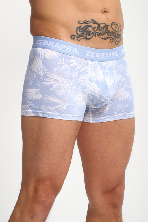 Трусы мужские 45072