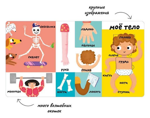 Мои первые 100 слов с окошками. Мое тело - Робинс фото 3