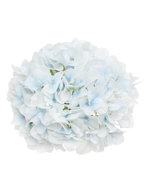 Гортензия древовидная соцветие (без стебля) - Бело-голубой - Real touch фото 2