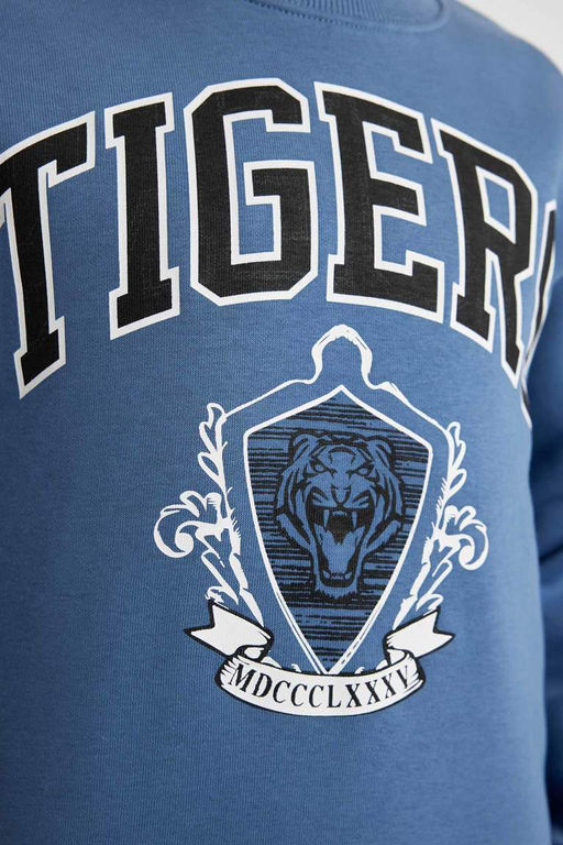 Толстый свитшот с круглым вырезом с принтом для мальчиков - Defacto фото 5