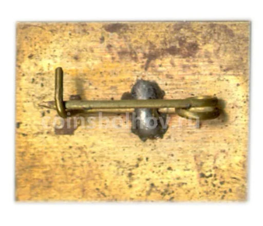 Значок Карпаты