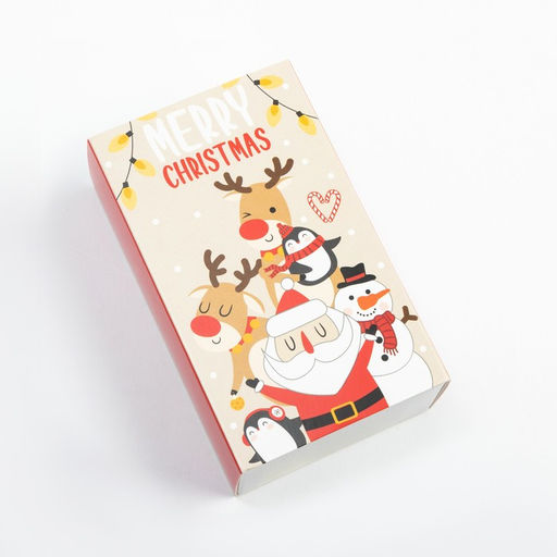 Носки женские новогодние KAFTAN Marry christmas размер 36-40 (23-25 см), набор 2 пары