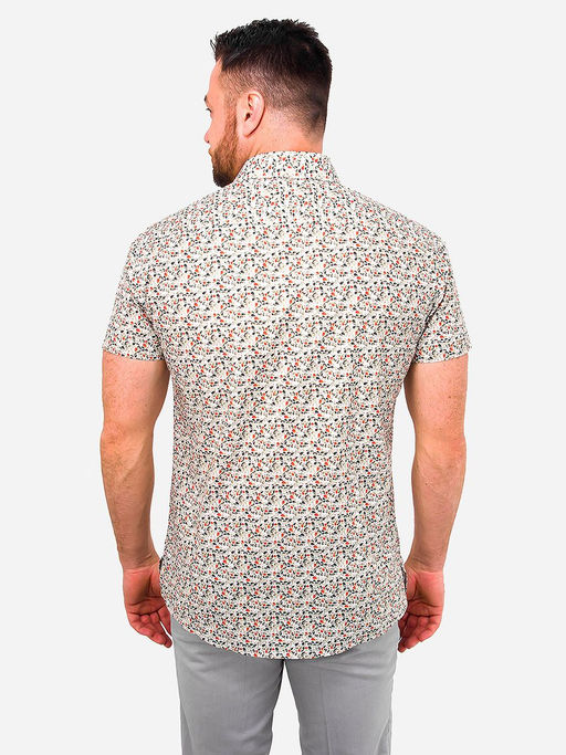 Сорочка мужская короткий рукав GREG 453/201/14653/ZS/C/1  фото 6